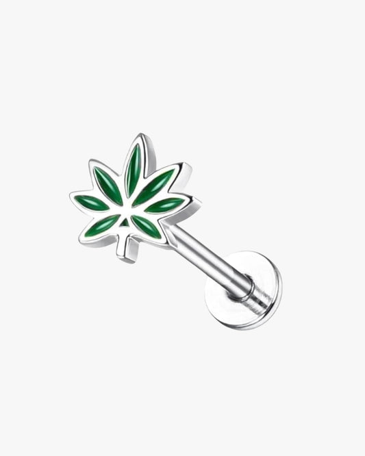 Trendy stainless steel stud earrings – perfect for layering multiple piercings.