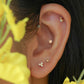 Bubble Pave Stud - My Earscapes