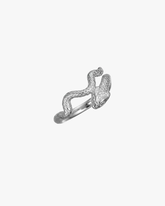 G23 Titanium Crystal Clicker Hoop – Snake