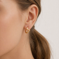 Gold Plated Stainless Steel Earrings – Elaria