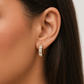 Gold Plated Stainless Steel Earrings – Zarelle
