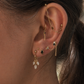 Close-up of an ear with multiple gold earrings and a blurred background