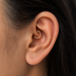 G23 Titanium Faceted Clicker Hoop – Kyoto