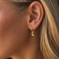 Gold Plated Stainless Steel Crescent Moon Charm Hoop Earrings – Cuzco