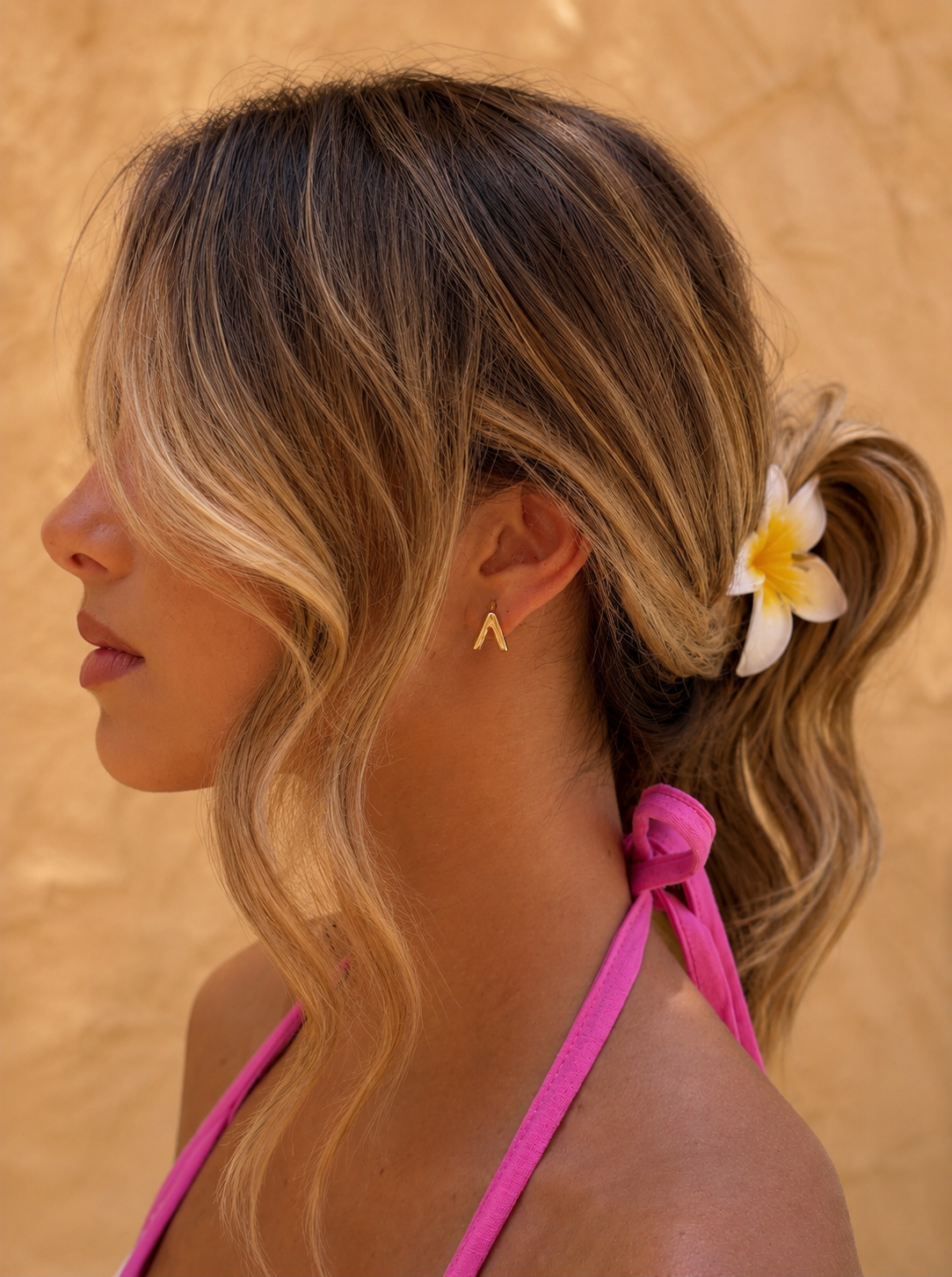 Gold Plated Stainless Steel Earrings – Virelle