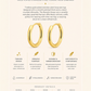 Gold Plated Stainless Steel Classic Hoop Earrings – Borealis