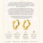 Gold Plated Stainless Steel Earrings – Orvella
