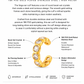 18K PVD Gold Bezel Crystal Ear Cuff – Vega