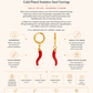 Gold Plated Stainless Steel Earrings – Calienta