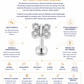 Mazatlan Stud – Butterfly Zirconia Piercing