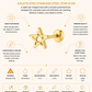Gold Plated Stainless Steel Star Flat Back Stud Earring – Xalapa