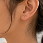 Gold Plated Stainless Steel Star Flat Back Stud Earring – Xalapa