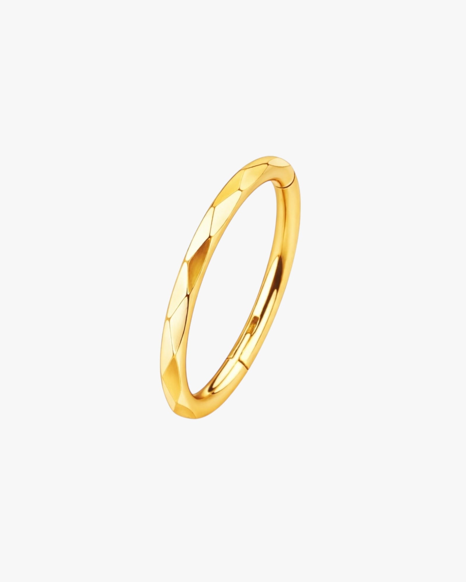 G23 Titanium Faceted Clicker Hoop – Kyoto