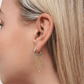 Gold Plated Stainless Steel Earrings – Calyra