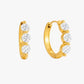 Gold plated zircon hoop earrings – Calybra