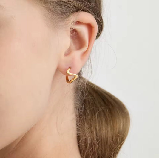 Gold Plated Stainless Steel Earrings – Elaria
