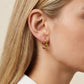 Gold Plated Stainless Steel Earrings – Orvella