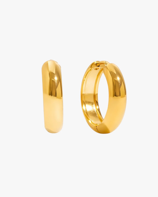 Gold Plated Stainless Steel Earrings – Valora