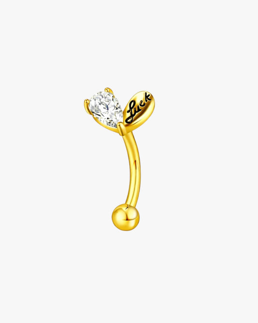 Lucky Heart Crystal Titanium Curved Barbell 16G – Amoria