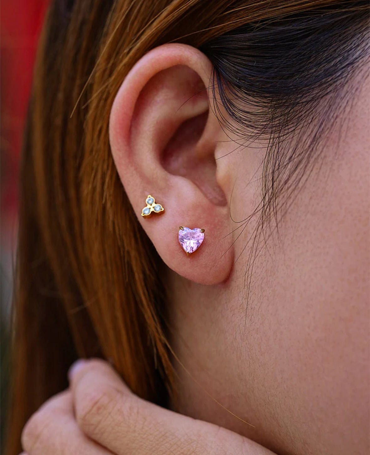Seine Stud